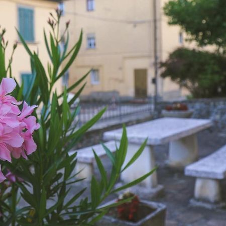 Casa Con Giardino In Mugello A 30 Minuti Da Firenze "Soleluna" Osteria di Novoli Zewnętrze zdjęcie