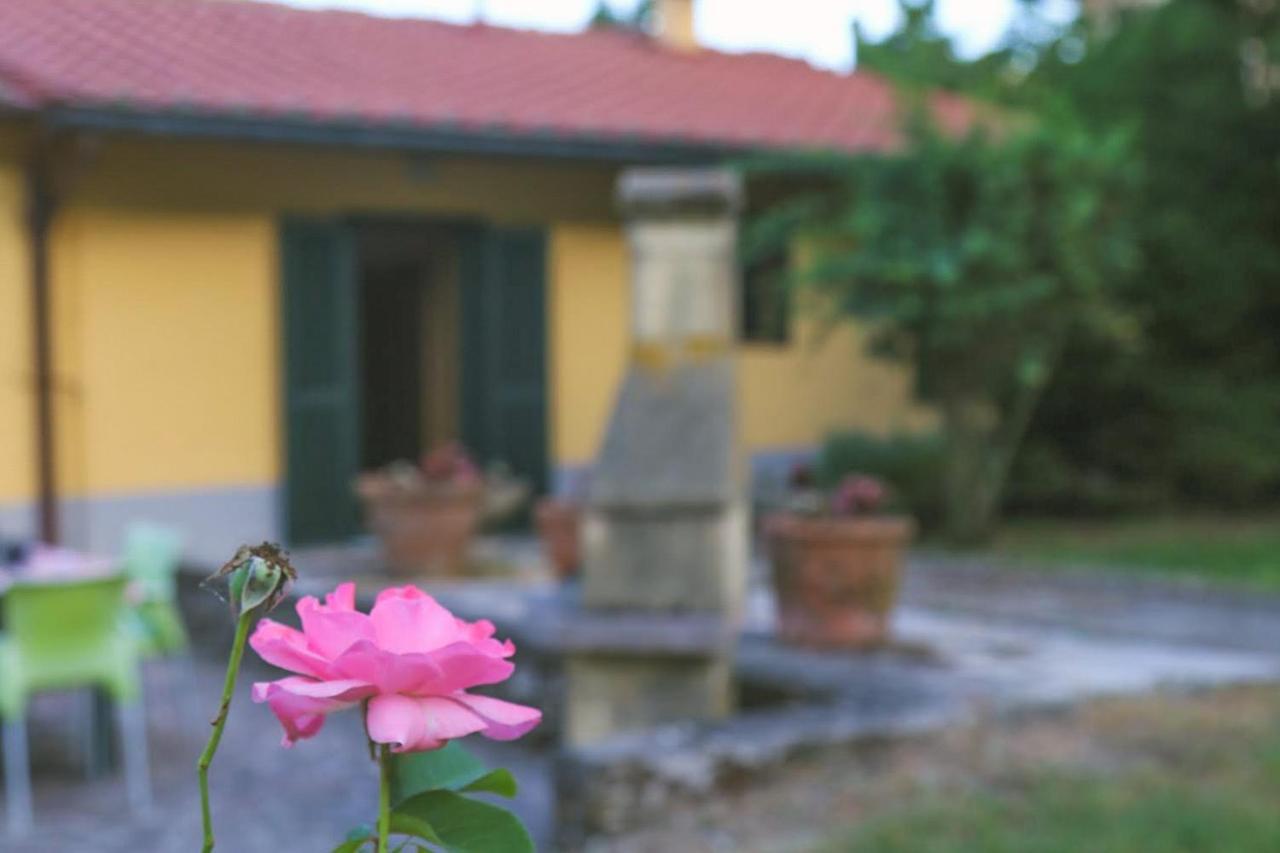 Casa Con Giardino In Mugello A 30 Minuti Da Firenze "Soleluna" Osteria di Novoli Zewnętrze zdjęcie